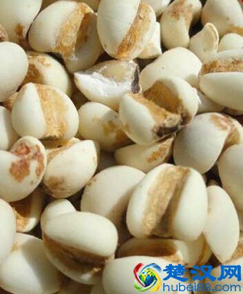 薏米粉怎么做 薏米粉怎么吃