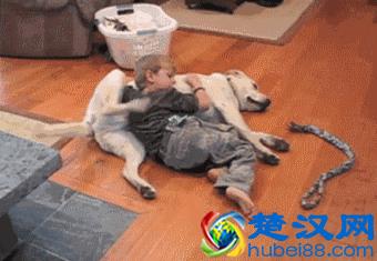 这3款洗发水被查封，竟含致癌成分？来看看你的洗发水是否合格……