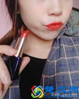 雅诗兰黛333真人试色 雅诗兰黛333口红试色