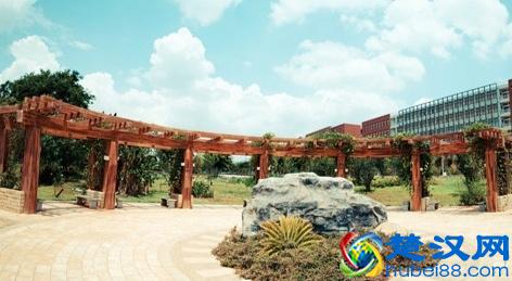 昆明理工大学的实力