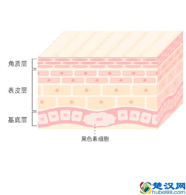 祛黑头最有效的产品 祛黑头这三步就够了
