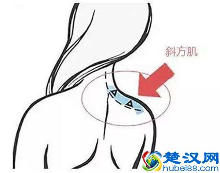 女生肩膀宽毁形象，如何改善宽大的肩膀