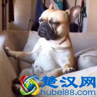 祛黑头最有效的产品 祛黑头这三步就够了