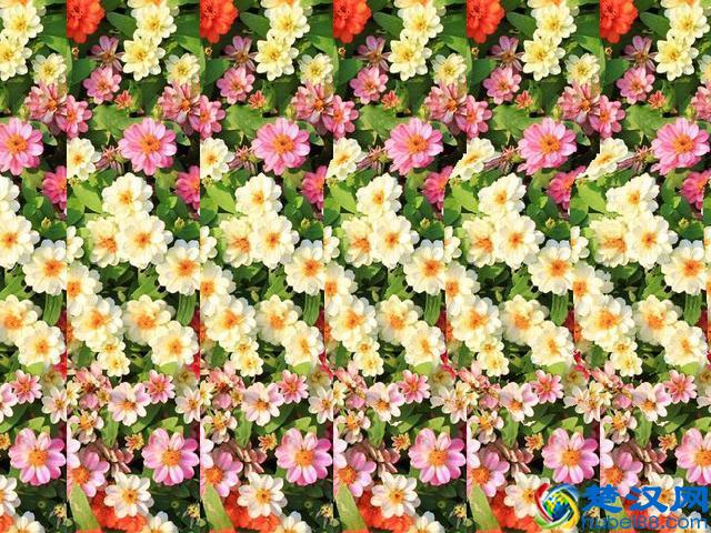 一招学会秒看三维立体图