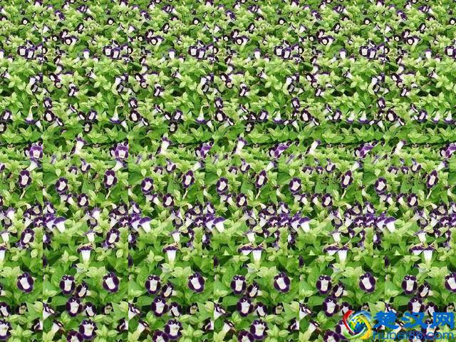 一招学会秒看三维立体图