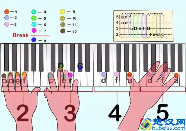 学钢琴如何阅读钢琴乐谱？牢记4点，轻松读谱不是梦！