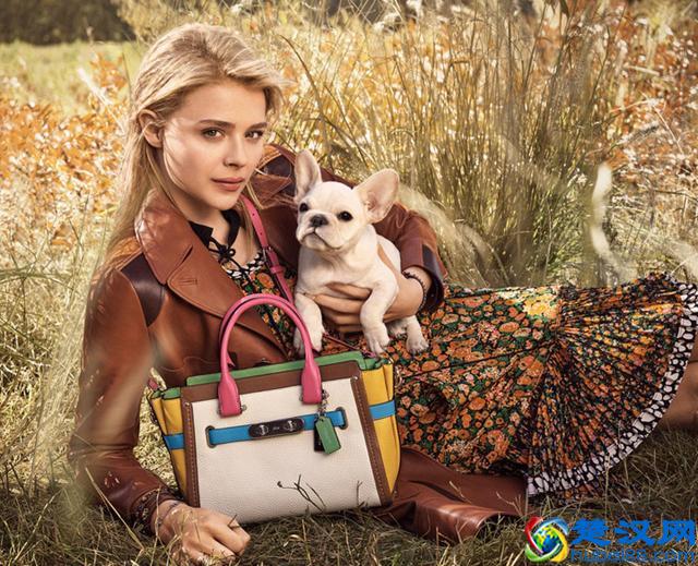 轻奢品牌蔻驰(COACH)