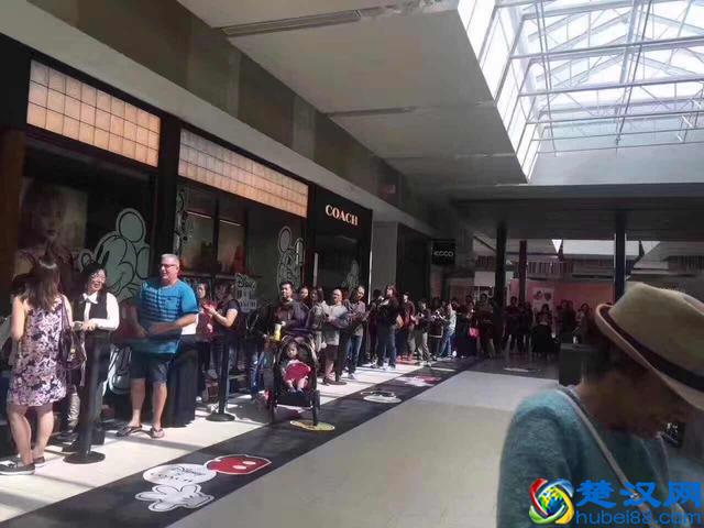 轻奢品牌蔻驰(COACH)