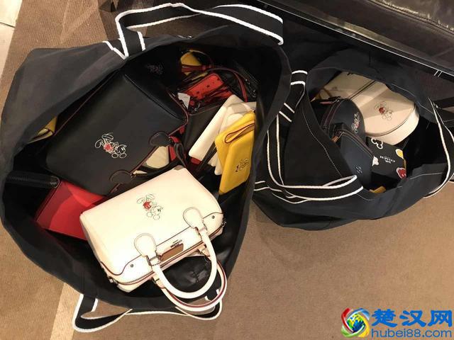 轻奢品牌蔻驰(COACH)