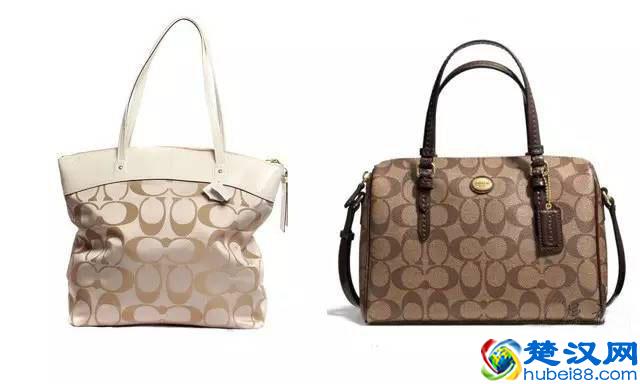 轻奢品牌蔻驰(COACH)