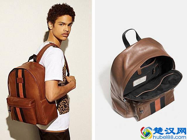 轻奢品牌蔻驰(COACH)