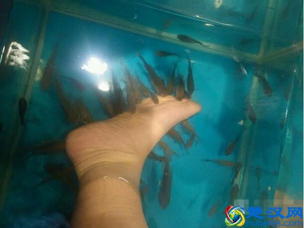 沈阳十家足疗神店，春天按一下，从上到下都爽到酥软！