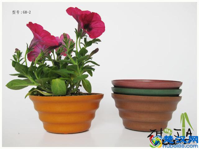 菜市场周边！10个低成本高利润的创业项目