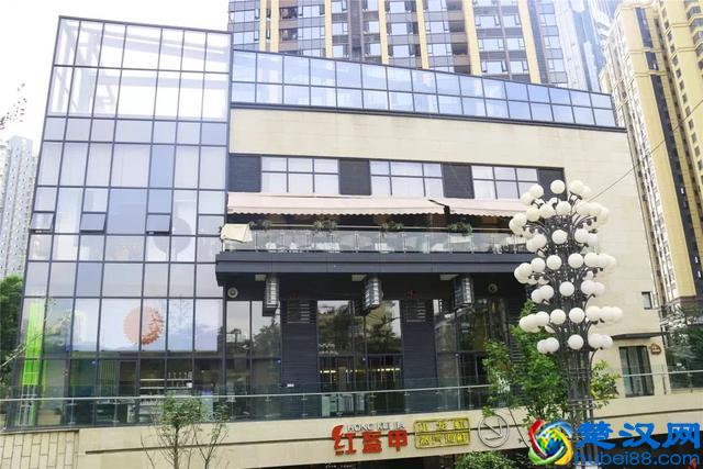 98%的成都人都不知道，锦华万达对面的橡树林藏了一个美食广场！