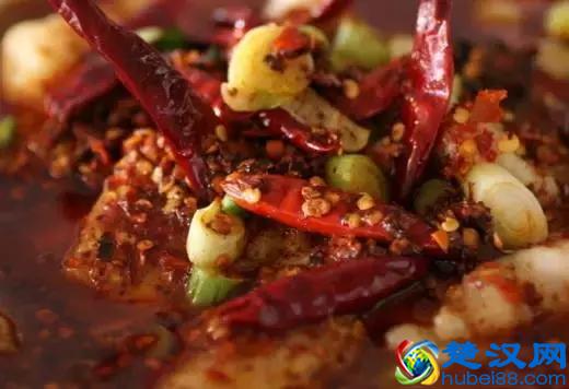 谁说重庆只卖火锅？这些料理鱼也是超级过瘾哟！