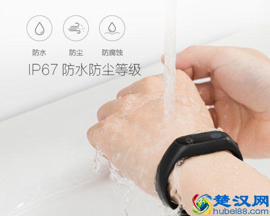 宾尼兔智能手环有什么用 功能评测