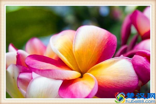 适合全能妈妈的项目，有哪些呢？以下三点可以看看