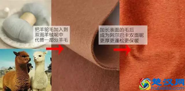 阿尔巴卡大衣是什么？为什么今年网红家都在卖