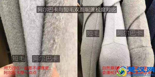 阿尔巴卡大衣是什么？为什么今年网红家都在卖