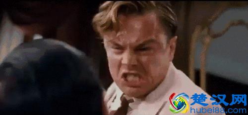 阿尔巴卡大衣是什么？为什么今年网红家都在卖