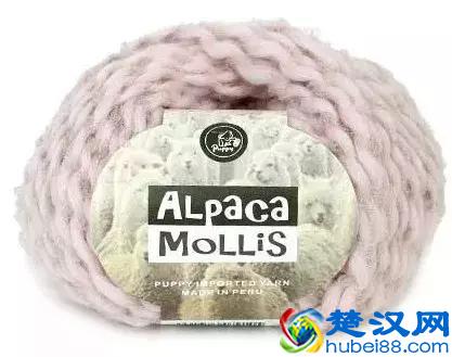 阿尔巴卡大衣是什么？为什么今年网红家都在卖