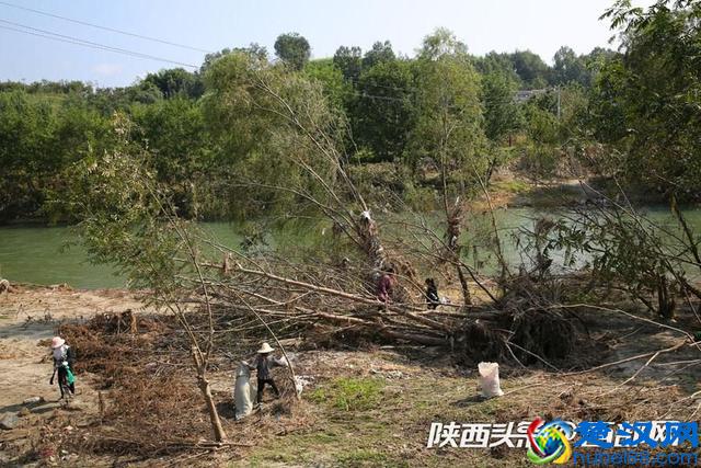 洪水过后77岁大爷清理河道垃圾 要让家乡的河恢复美丽容颜