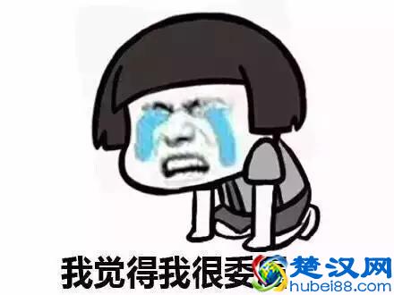 企业版微信要来了，你怎么看？