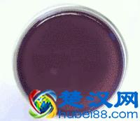 十大不可思议的化学反应