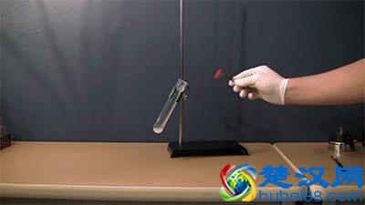 十大不可思议的化学反应