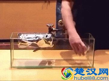 十大不可思议的化学反应