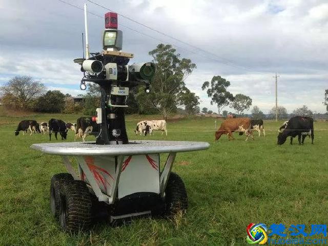 中国智慧农业的深度反思：什么才是智慧农业的未来