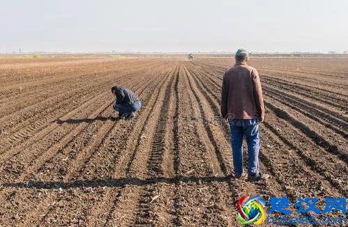 中国智慧农业的深度反思：什么才是智慧农业的未来