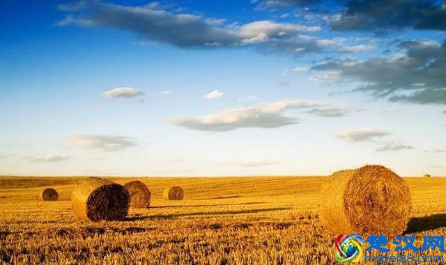 中国智慧农业的深度反思：什么才是智慧农业的未来