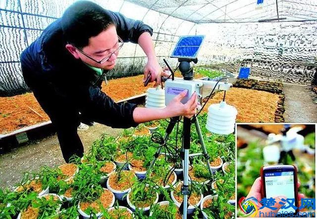 中国智慧农业的深度反思：什么才是智慧农业的未来