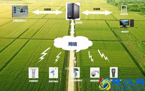 中国智慧农业的深度反思：什么才是智慧农业的未来