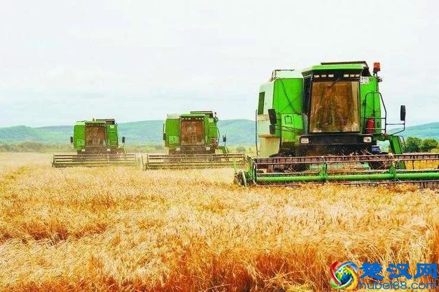 中国智慧农业的深度反思：什么才是智慧农业的未来