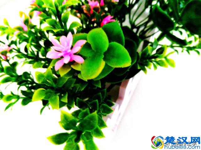 论点是如何形成的，论据是如何论证论点的？