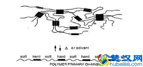 常见的氨纶有什么来头