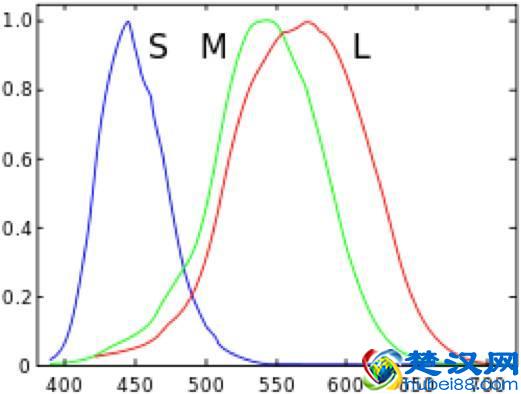 为什么光的三原色是红绿蓝，颜色的三原色是红黄蓝？｜球答