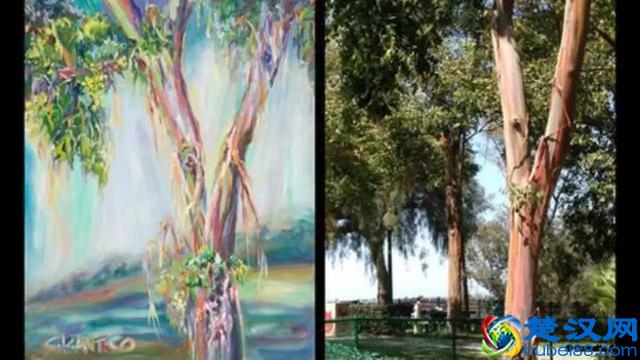 为什么光的三原色是红绿蓝，颜色的三原色是红黄蓝？｜球答