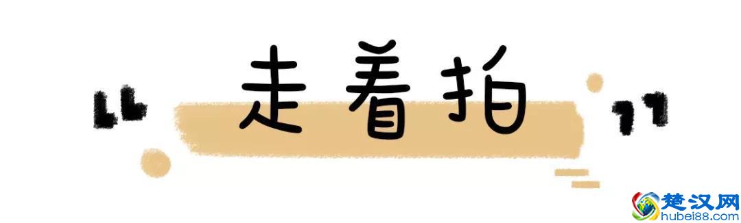 学会100个拍照pose大全，让你的照片美爆朋友圈