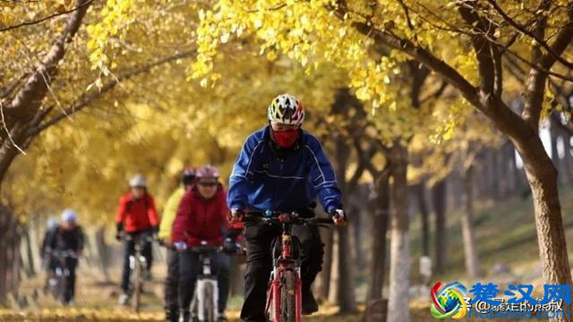 成都周边都江堰-走进西部银杏第一村，听花蕊夫人的故事