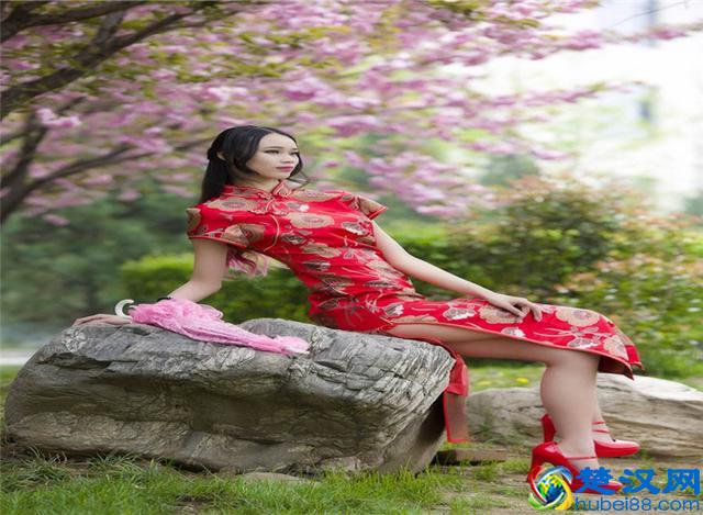 樱花七日，娇艳灿烂；花开虽短，美留人间！