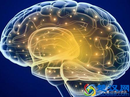 抽烟到底是有害？还是健康？看完一目了然