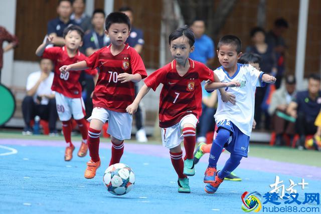 一年学费28万！“天价”幼儿园为什么频频出现？