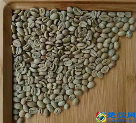 新手咖啡豆推荐 | 如何挑选适合自己的咖啡豆？