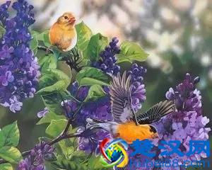 朗诵：生命的天空