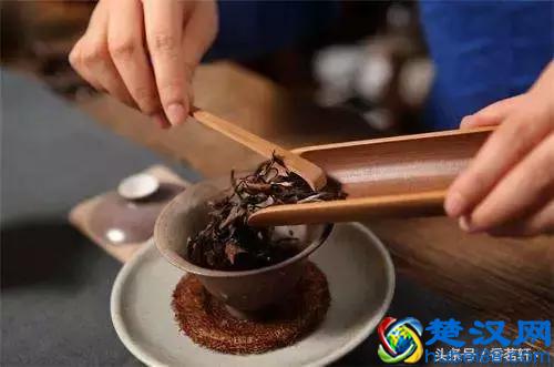 醒茶”是什么意思？该如何正确醒茶？