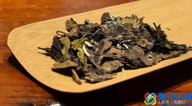 醒茶”是什么意思？该如何正确醒茶？