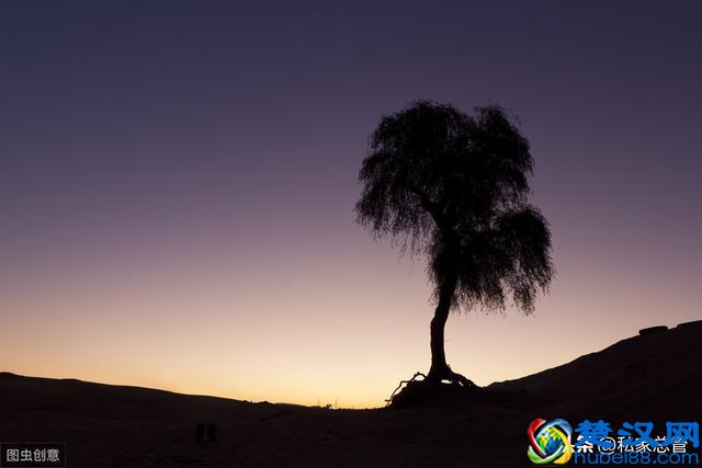 寂寞的人往往是擅长回忆的，一丝不苟的回忆所有的生活